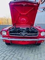 1965 Ford Mustang convertible oldtimer te koop