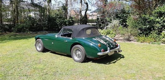 1964 Austin-Healey 3000 MK3 oldtimer te koop