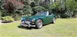 1964 Austin-Healey 3000 mk3 oldtimer te koop