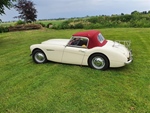 1957 Austin Healey BN2 oldtimer te koop