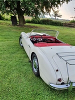 1957 Austin Healey BN2 oldtimer te koop