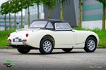 1955 Austin-Healey Sprite Mk1 oldtimer te koop
