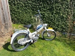 1969 Puch ms50 oldtimer motorfiets te koop