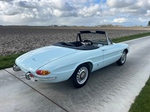 1967 Alfa Romeo Duetto Spider oldtimer te koop