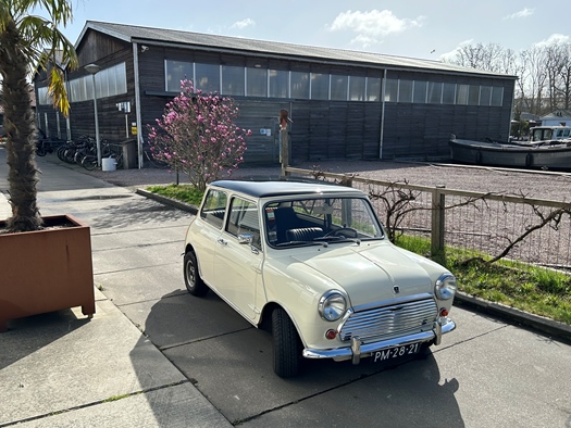 1968 Mini Cooper  oldtimer te koop