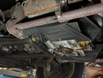 1955 Volkswagen Kever oldtimer te koop
