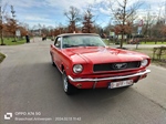 1966 Ford mustang oldtimer te koop