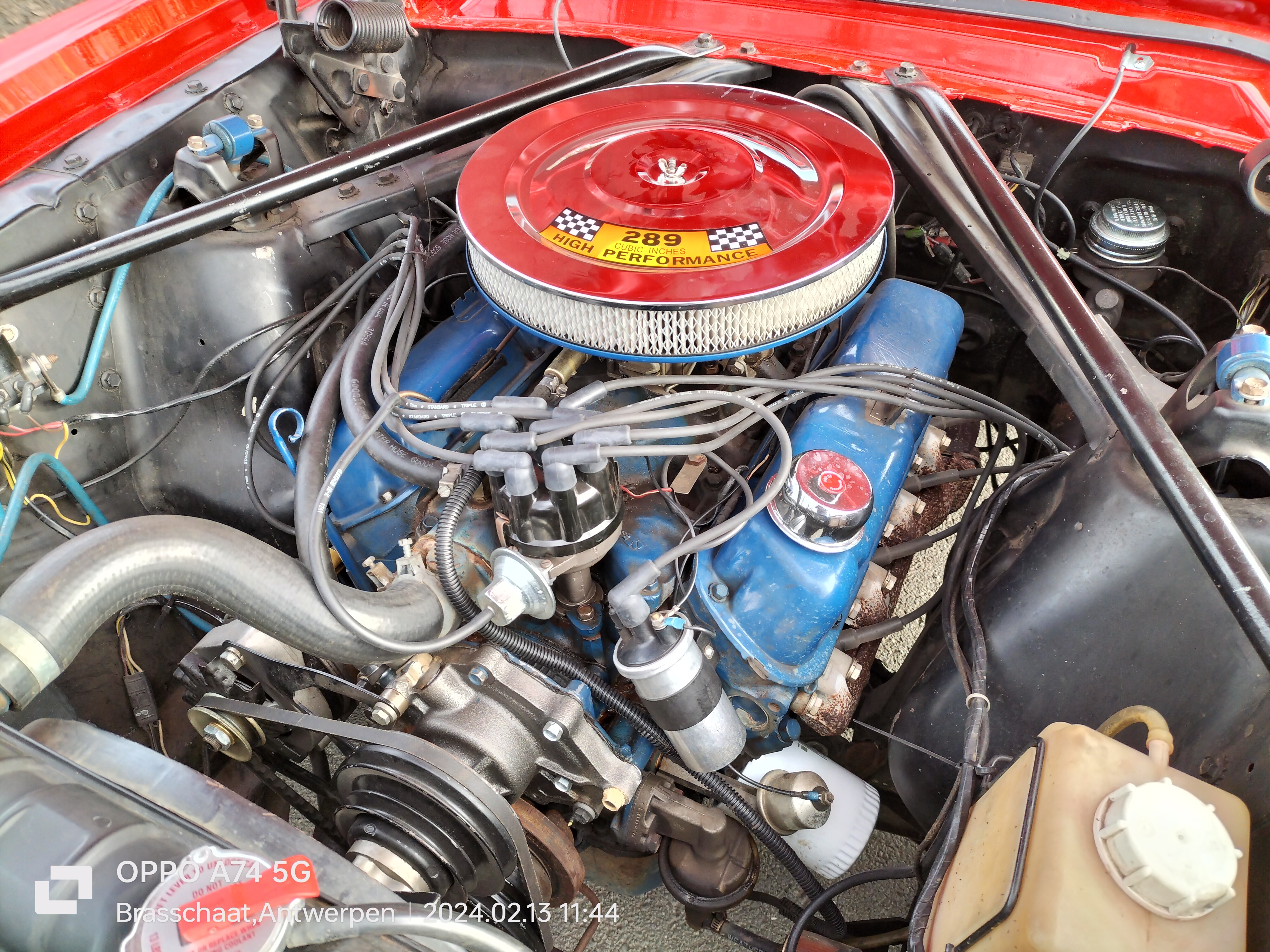 1966 Ford mustang oldtimer te koop