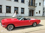 1966 Ford mustang oldtimer te koop