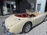 1960 Austin-Healey 3000 Mk1 Project!  oldtimer te koop