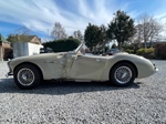 1960 Austin-Healey 3000 Mk1 Project!  oldtimer te koop