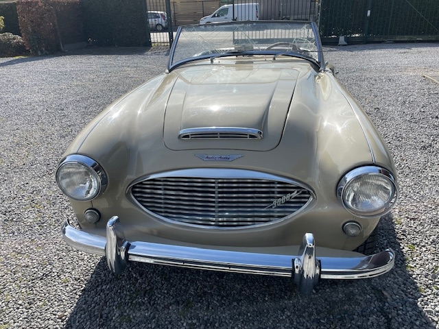 1960 Austin-Healey 3000 Mk1 Project!  oldtimer te koop