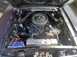 1966 Ford Mustang oldtimer te koop