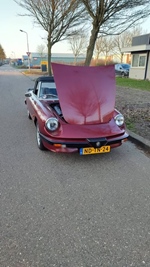 1983 Alfa Romeo spider oldtimer te koop
