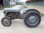 1952 Massey Ferguson TEF 20 Diesel oldtimer tractor te koop