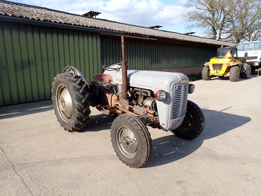 1957 Massey Ferguson FE35 Gold Belly oldtimer tractor te koop