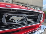 1966 Ford Mustang oldtimer te koop