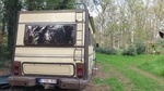 1982 Mercedes Hymer  oldtimer te koop