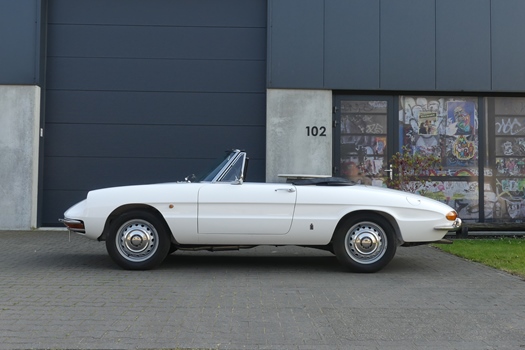 1966 Alfa Romeo Spider 1600 Duetto oldtimer te koop