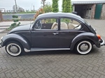 1975 Volkswagen Kever oldtimer te koop
