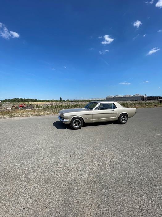 1965 Ford Mustang  oldtimer te koop