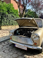 1979 Mini Leyland oldtimer te koop