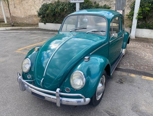 1965 Volkswagen Beetle 6v Saxomat oldtimer te koop