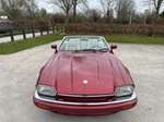1994 Jaguar XJS 6.0 ltr V12 2+2 oldtimer te koop