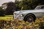 1964 Austin-Healey 3000 MKII Overdrive oldtimer te koop