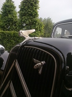1954 Citroën traction avant normal oldtimer te koop