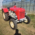 1960 Steyr N182a oldtimer tractor te koop