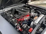 1966 Ford Mustang oldtimer te koop