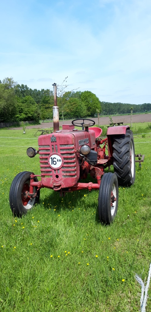 1956 McCormick D324 oldtimer tractor te koop