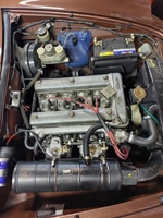 1979 Alfa Romeo Spider 1600 oldtimer te koop