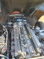 1969 Jaguar E-type 2+2 oldtimer te koop