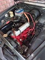 1966 Volvo Amazon  oldtimer te koop