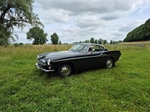 1967 Volvo P1800S oldtimer te koop