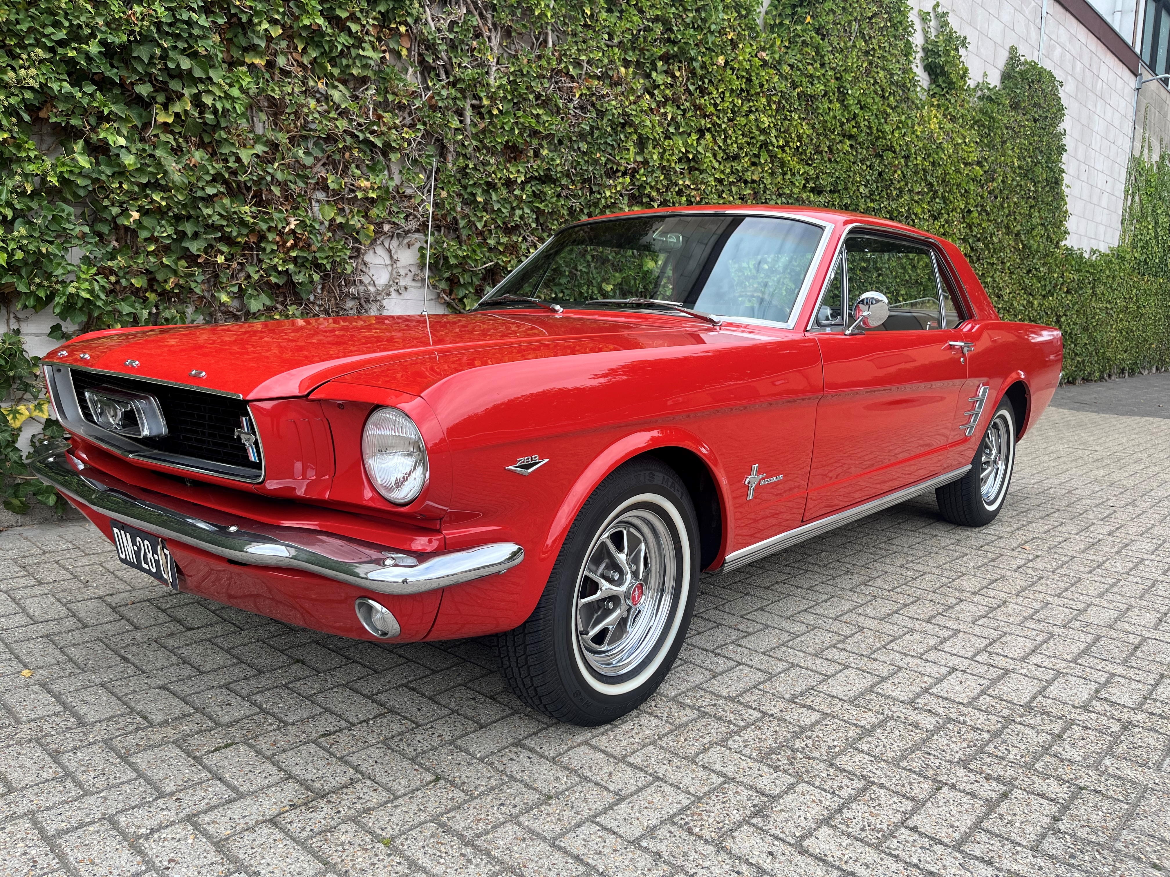 1966 Ford Mustang Coupe V 8 oldtimer te koop