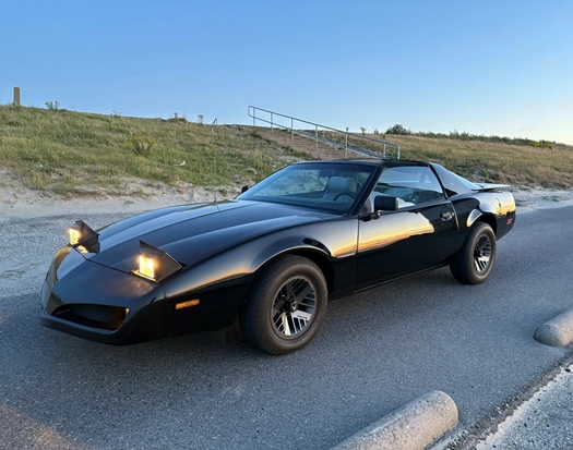 1989 Pontiac Firebird T-roof oldtimer te koop