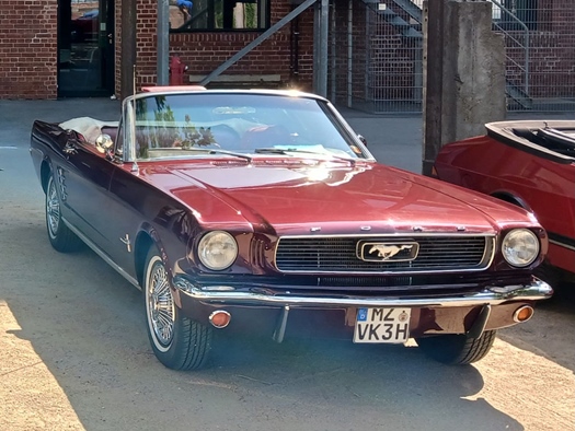 1966 Ford Mustang oldtimer te koop