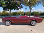 1966 Ford Mustang oldtimer te koop