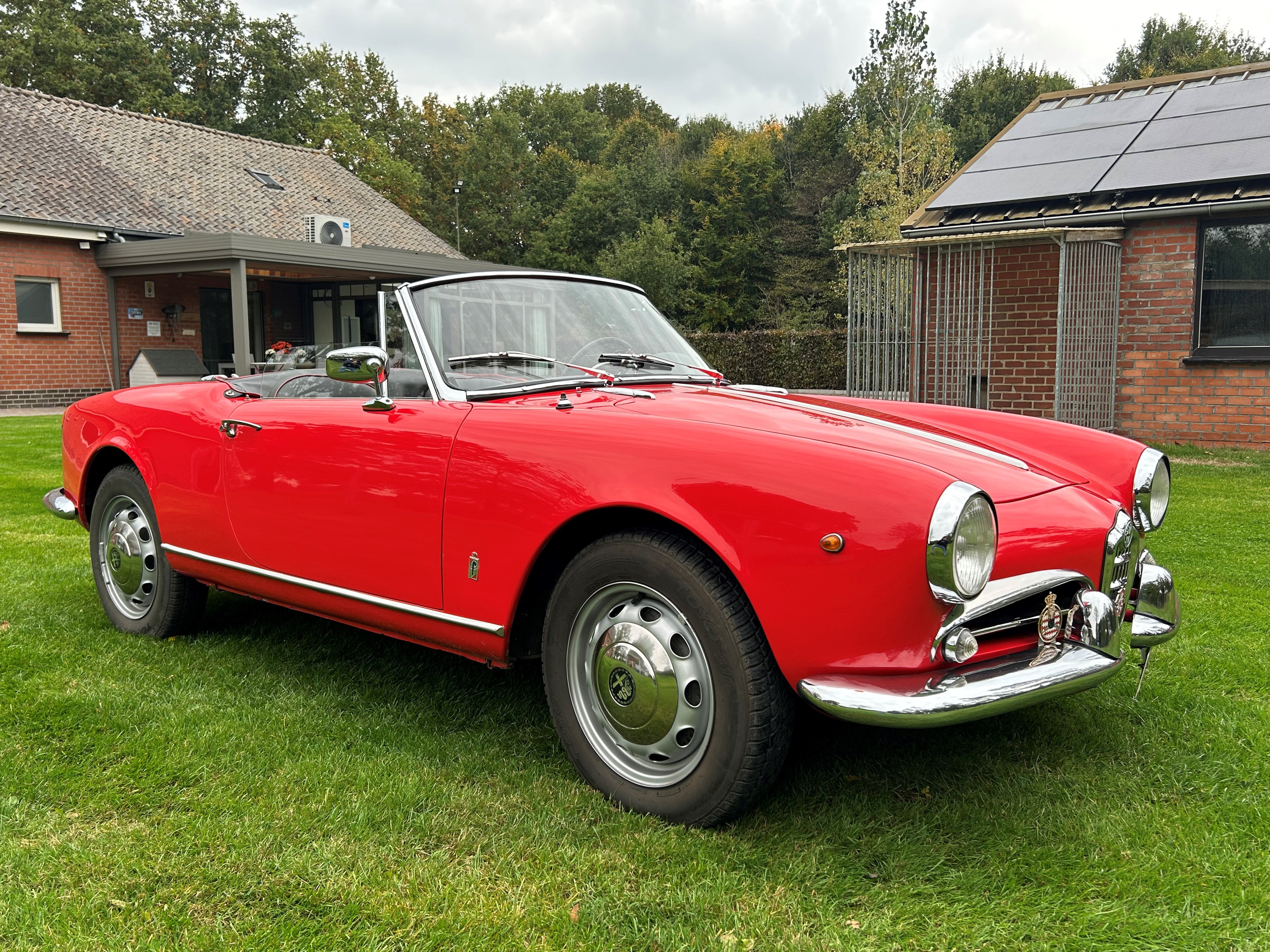 1962 Alfa Romeo Giuletta spider oldtimer te koop