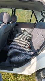 1989 Ford Fiesta 1.4 CLX oldtimer te koop