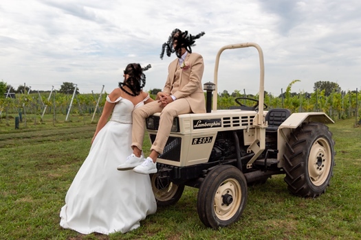 1978 Lamborghini R503s oldtimer tractor te koop