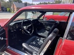 1966 Ford Mustang oldtimer te koop