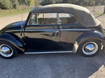 1954 Volkswagen Kever oldtimer te koop