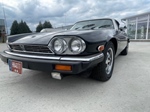 1984 Jaguar XJS oldtimer te koop