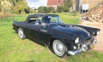 1955 Ford Thunderbird oldtimer te koop