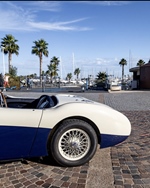 1956 Austin-Healey oldtimer te koop