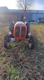 1964 Steyr 188 oldtimer tractor te koop